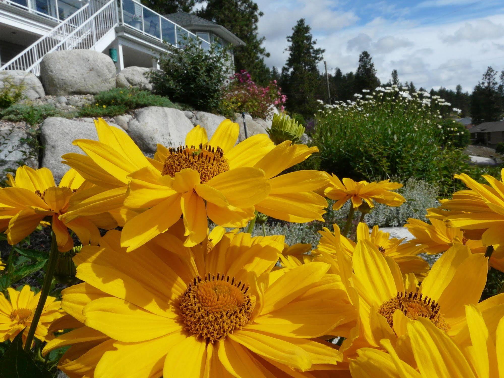 Heartstone B&B Peachland Luaran gambar